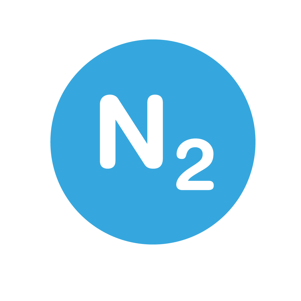 N2