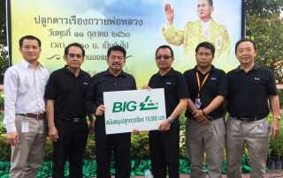 yellow_marigolds_planting_001