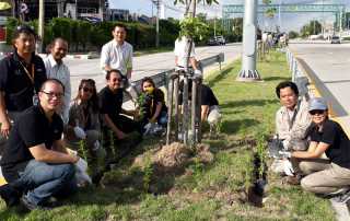 yellow_marigolds_planting_003