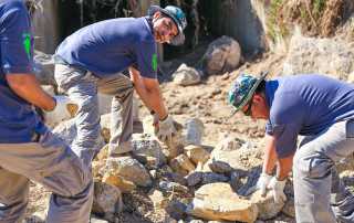 reforestation-and-check-dam-development-04 CSR Reforestation and Check Dam Development