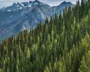 Hydrogen Energy Complex in Canada